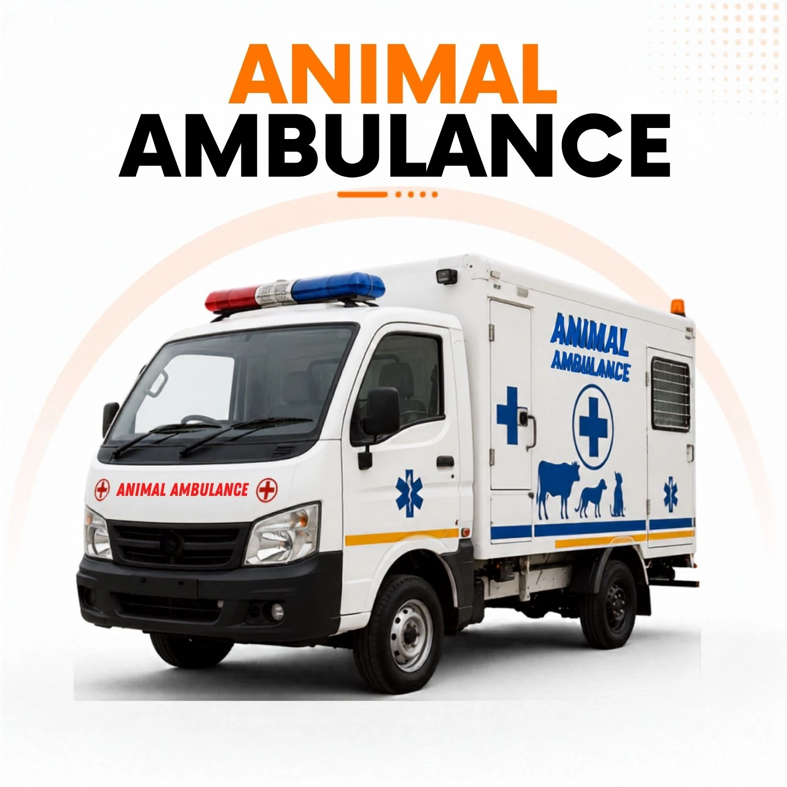 Animal Ambulance